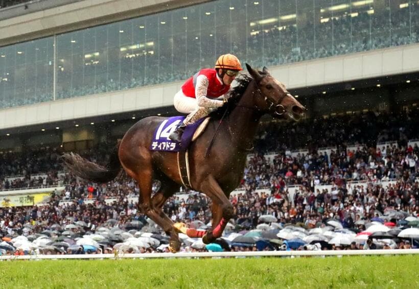 今年の凱旋門賞で唯一の日本馬となりそうなディアドラ　（ｃ）朝日新聞社