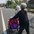 「親と縁を切りたい」「死んでほしい」介護の負担に追い詰められた子が「家族じまい」 親子関係は切れなくても「対応を」と専門家