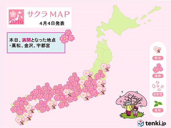 桜の情報は画像をクリック　北国の開花予想も