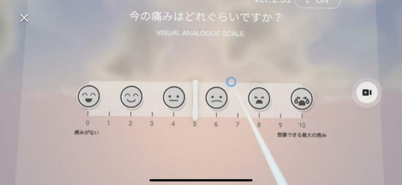 慢性痛の治療に使われるVR療法の画面（Parafeed提供）