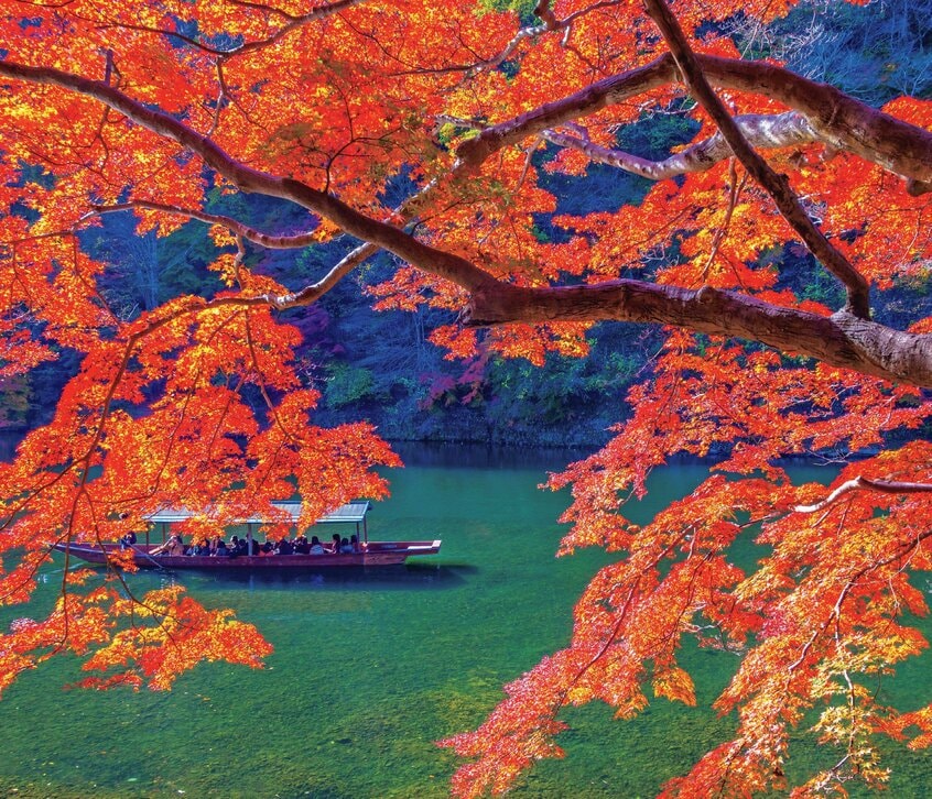 写真・図版(1枚目)| 京都の紅葉は酷暑の影響で後ろ倒し!「ピーク」と「予約可能なスポット」教えます