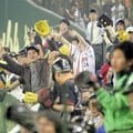 巨人-阪神戦で物議 防球ネットがない観客席は必要か 「スマホを見ている人が多い」と危険性の指摘が