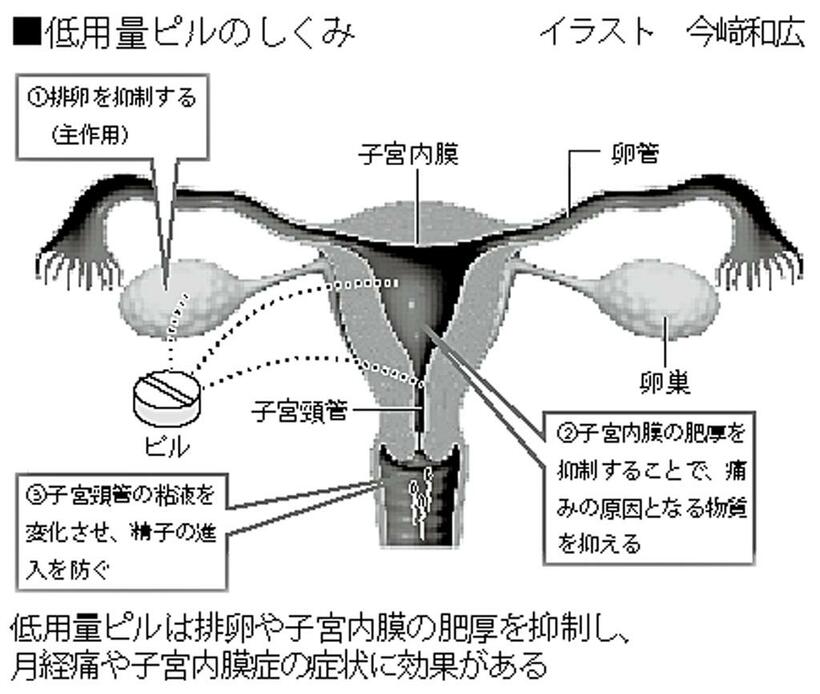 低用量ピルのしくみ