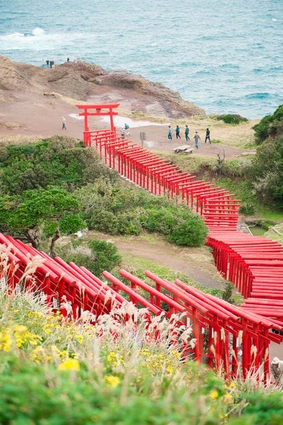 元乃隅稲成神社（もとのすみいなりじんじゃ）　（撮影／写真部・岸本絢）