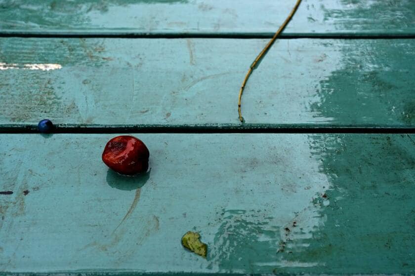 「一日中土砂降り。やまない。カメラが壊れる？　そんな心配を初めてした。気づいたら、カメラをギュッと抱きしめていた。公園のテーブルが唯一、色があった。くたびれたリンゴがいた」