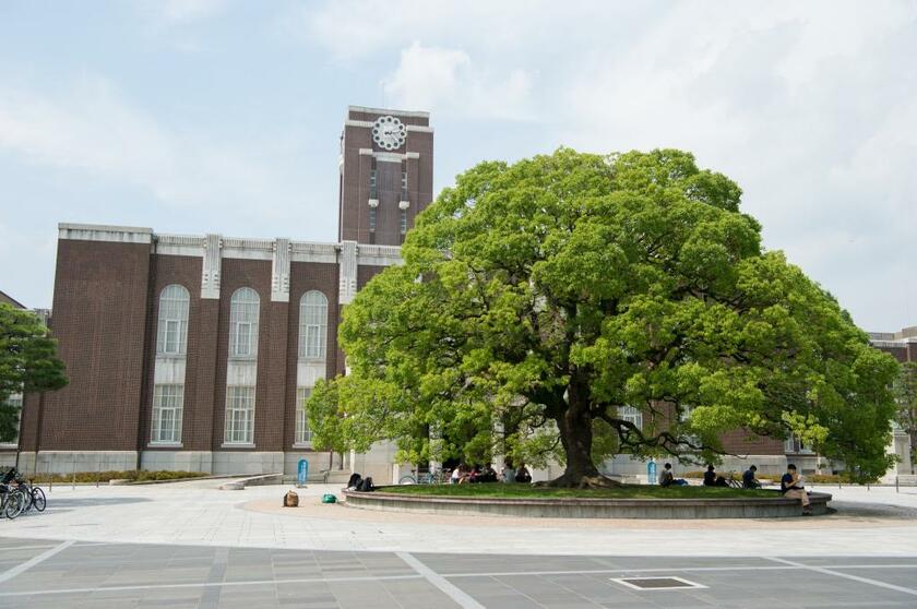 京都大学のシンボル・時計台とクスノキ（撮影／堀内慶太郎）