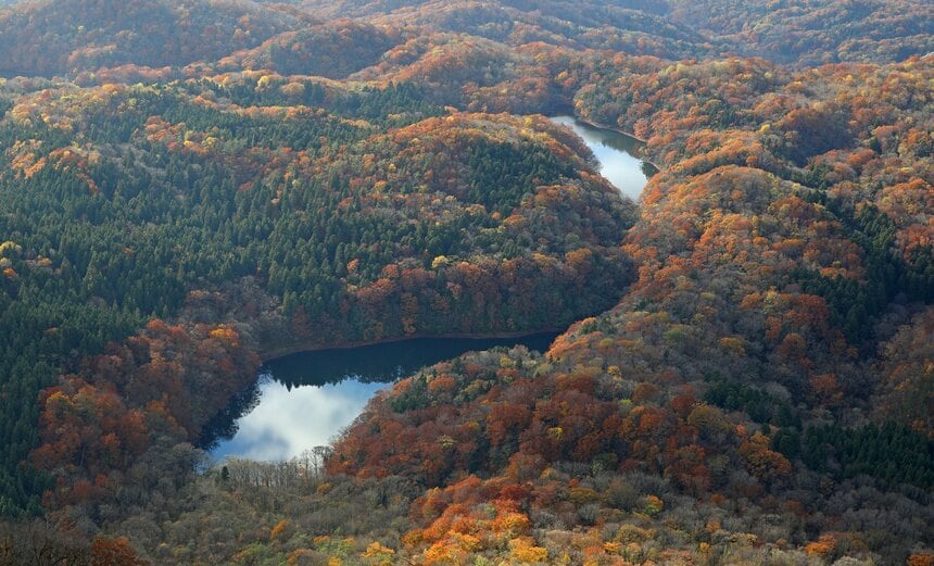 白神山地（青森県・秋田県、1993年登録）