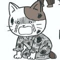 どうして、幸せを自称する人たちは「不幸」に見えてしまうのか? 元自衛官のインフルエンサーぱやぱやくんが理由を分析! 元幹部自衛官が教える人間関係のサバイバル術