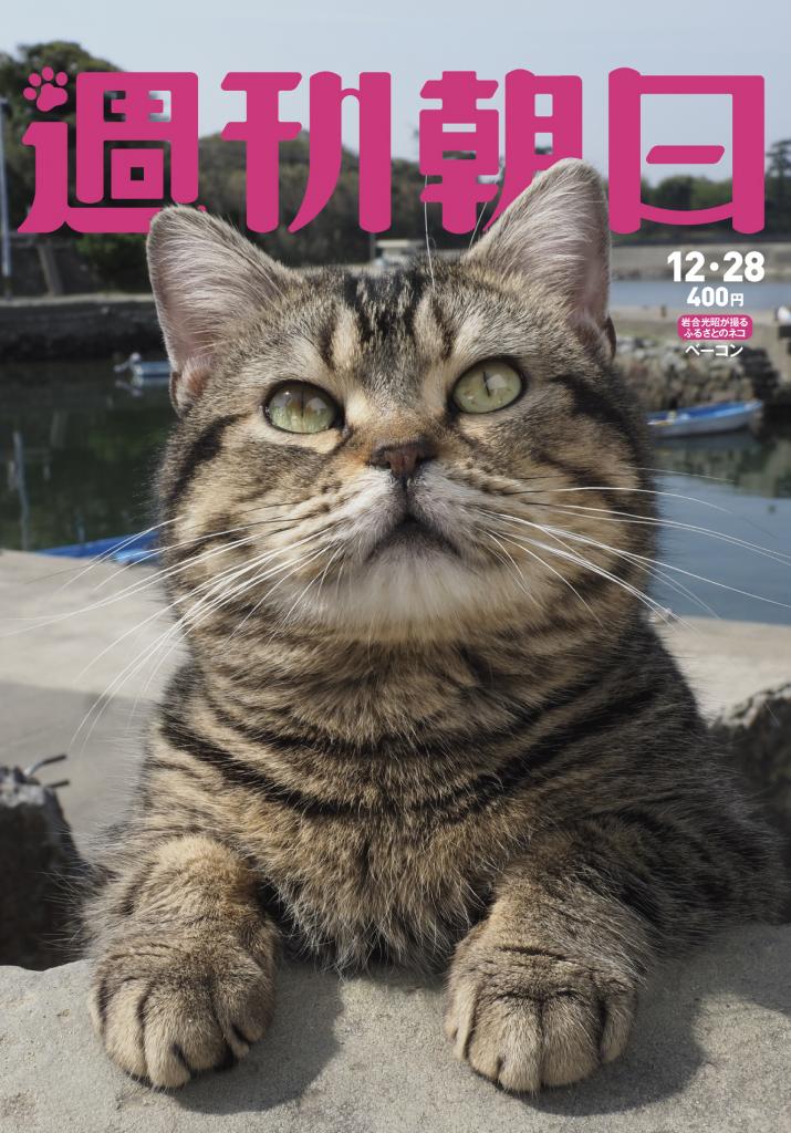 週刊朝日１２月２８日号　表紙は岩合光昭さん撮影のネコ！