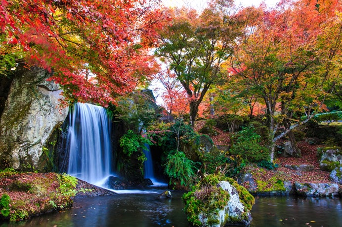 日本庭園の中に耶馬溪のダイナミックな自然美が再現された「溪石園」