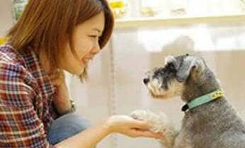 高級ペットフードで街の“セレブ度”を判断? 山田美保子が指摘