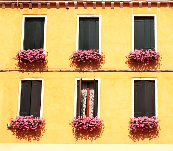 ヨーロッパの住宅の窓辺を彩るゼラニウム。昔は「魔女よけ」ともいわれていた。今は「防虫」に利用されている。