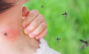 蚊の活動は猛暑で鈍る　殺虫剤の売り上げは減る？　フマキラー、アース製薬の業績を調べてみた