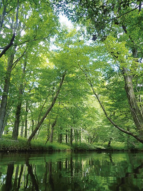 防水カメラの安心感で水面ギリギリに視点を下げ、通常では見切れていた人工構造部を画面から排除すれば普通の公園でも大自然のように撮れる。アウトドアシーンでなくても頼りがいのあるカメラだ●4.5ミリ（25ミリ相当）時・AE（絞りf2.0・60分の1秒・－0.3補正）・ISO100・AWB・JPEG
<br />