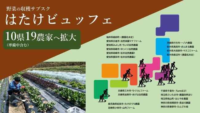 写真・図版(1枚目)| 野菜採り放題サービスで消費者も生産者も得する!「収穫サブスク農園」が全国9県に拡大【栃木県と福井県で新規オープン】