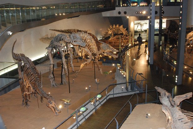 42体の恐竜骨格が展示された館内
