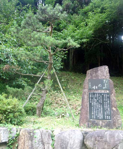 植え替えられた「だじゃの松」。昭和の初め頃までは、子ども２人でやっと抱えらえるほど大きな幹の松が、道路にせり出す形で立っていたという（撮影／編集部・作田裕史）