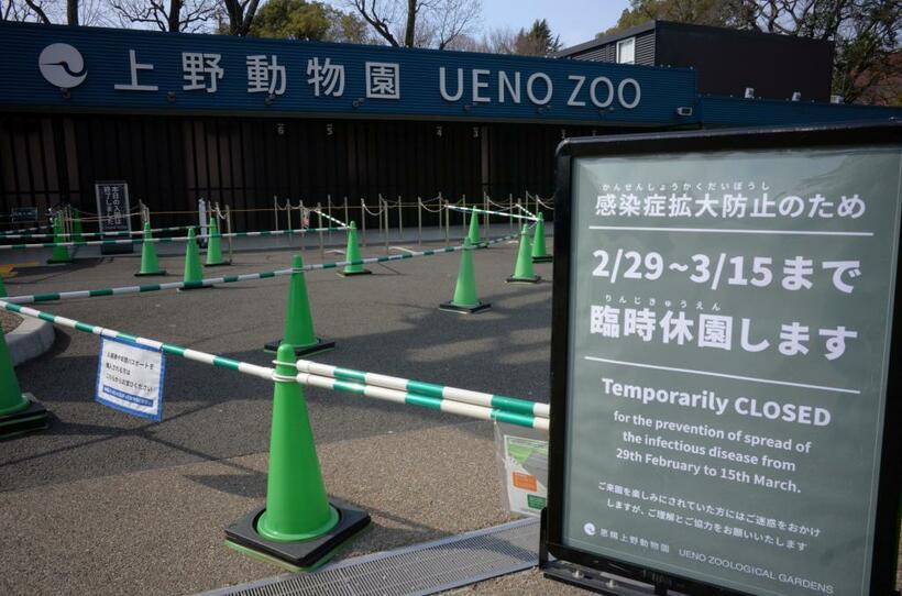 臨時休園した上野動物園。コロナウイルスの影響は広がっている＝2月29日、撮影・多田敏男