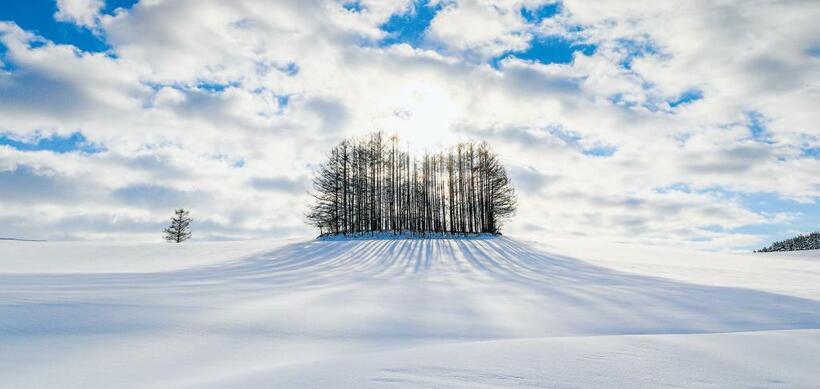 【美瑛の丘／美瑛町】降り積もった雪が丘をふんわりとつつむ。特に寒い朝は、木に水蒸気や雪が凍り付いてできる「樹氷」も見ることができる