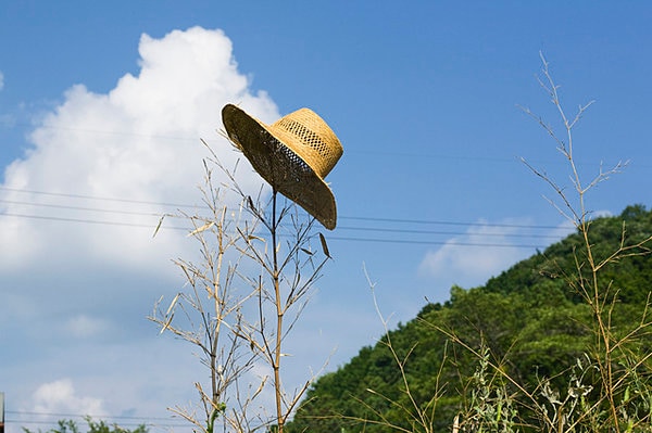 過ぎ行く夏を惜しむ季節