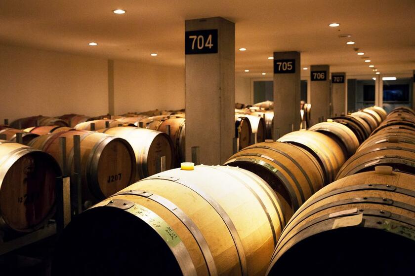 【一度は訪れたい日本ワインの聖地】シャトー・メルシャン勝沼ワイナリー／メルシャンの前身「大日本山梨葡萄酒会社」が勝沼に設立されたのは１８７７年。今はヴィンヤード、醸造所、ワイン資料館、カフェ、テイスティングカウンター、ショップなどがある人気のワイナリーに（撮影／慎芝賢）