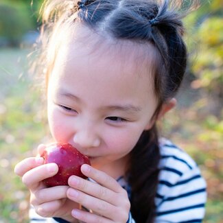 花粉症の人がリンゴや桃で食物アレルギーに なぜ? 花粉とたんぱく質構造が似る意外な組み合わせに注意