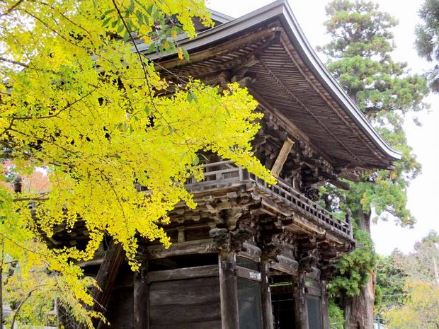 筑波山神社の随神門