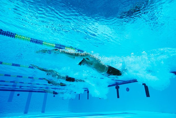 競泳日本代表は、なぜこれほど強いのか？（※イメージ）