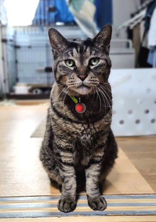 新たな環境でがんばっています