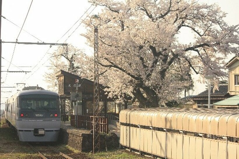富山地方鉄道の20020形電車（元西武鉄道の車両）＝富山地方鉄道提供