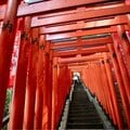 おみくじ箱を「おもちゃ」に、鳥居でダンス…インバウンド客の「不敬行為」に悩む神社の本音〈オーバーツーリズムを考える〉