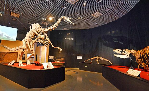 【デイノケイルス】（写真左）白亜紀後期　産出地：モンゴル　全長：１１ｍ／大きなクチバシを持ち、手には長いツメ、そして蹄（ひづめ）のような足の指を持つ恐竜。背中に大きな帆があり、さまざまな恐竜の特徴を併せ持つ「へんてこな恐竜」だと判明　（ｃ）Ｉｎｓｔｉｔｕｔｅ　ｏｆ　Ｐａｌｅｏｎｔｏｌｏｇｙ　ａｎｄ　Ｇｅｏｌｏｇｙ　ｏｆ　Ｍｏｎｇｏｌｉａｎ　Ａｃａｄｅｍｙ　ｏｆ　Ｓｃｉｅｎｃｅｓ
