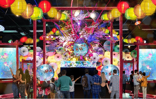写真・図版(1枚目)| 五感で楽しむ幻想空間「錦鯉・金魚アクアリウム in ときメッセ」2025年夏、新潟で開催決定!