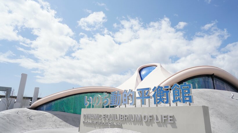 福岡伸一　いのち動的平衡館（写真：米澤伸子）