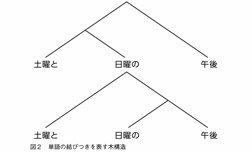 酒井邦嘉『デジタル脳クライシス』（朝日新書）