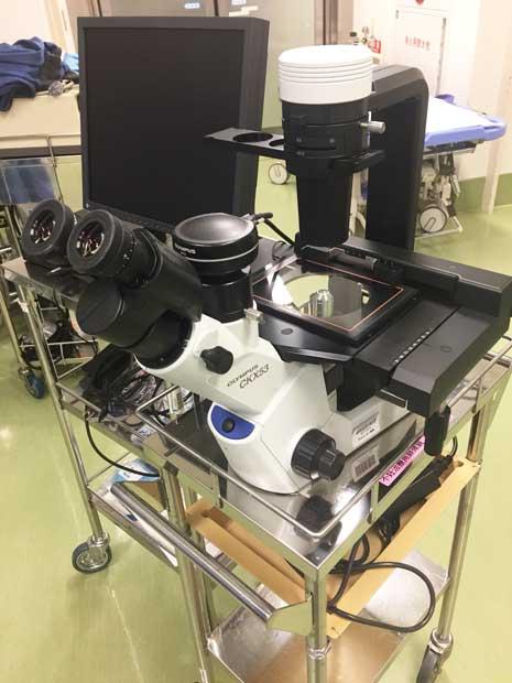 精巣組織の中から精子を探すのに使う顕微鏡　（ｃ）朝日新聞社