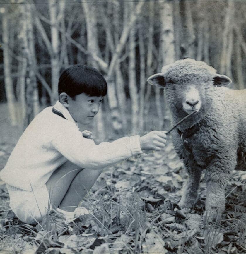 1973年11月、東京・元赤坂の東宮御所でペットのヒツジ「コロー」と礼宮さま（当時）