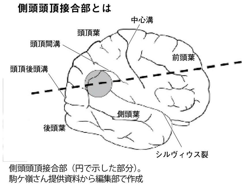 週刊朝日　２０２２年９月２３・３０日合併号より