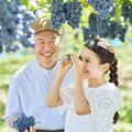 今年の夏休みは子どもの「自由研究」もできるリゾナーレへ家族旅行