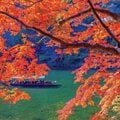 京都の紅葉は酷暑の影響で後ろ倒し!「ピーク」と「予約可能なスポット」教えます