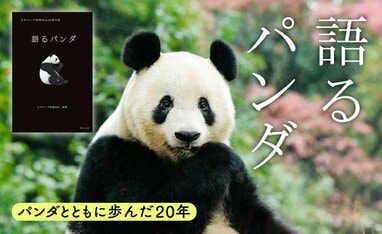 語るパンダ