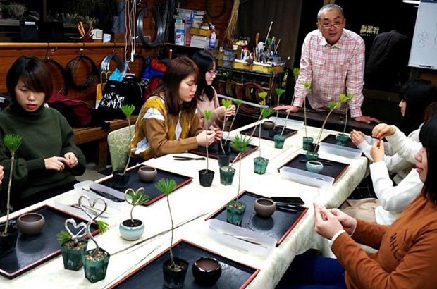高松市内の盆栽職人のもとへ定期的に通い、盆栽の知識や技術を学ぶ(「Bonsai☆Girls Project」のフェイスブックより)