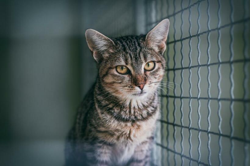 ※写真はイメージです（GettyImages）