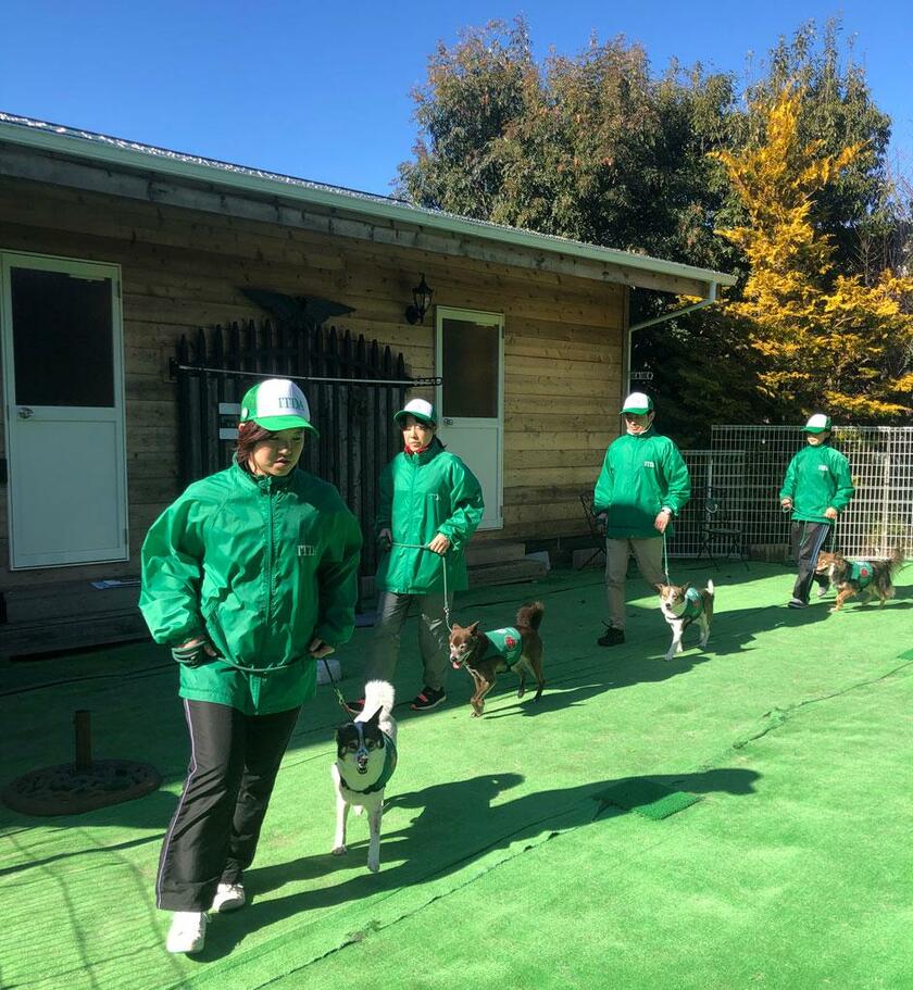 千葉県内にある国際セラピードッグ協会のトレーニングプラザ。犬たちは２年以上かけて訓練される