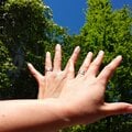 〈あのときの話題を「再生」〉日本人の同性カップル、カナダで難民認定までの歩み 「母娘」と偽っての暮らし「耐えられなかった」