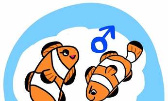 雄同士が出会ったら一方が雌に!? 複雑怪奇なお魚の性転換事情