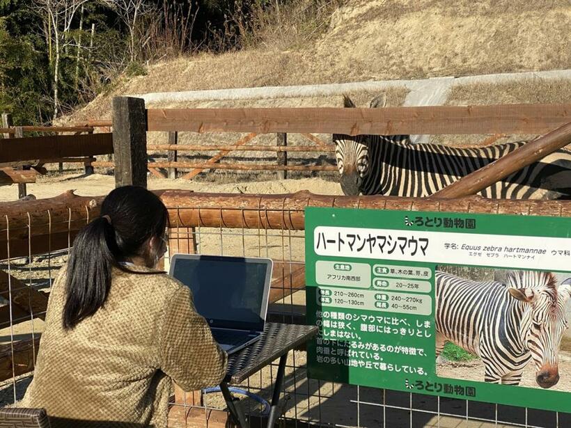 「ｚｏｏワーケーション」の一コマ　（しろとり動物園提供）