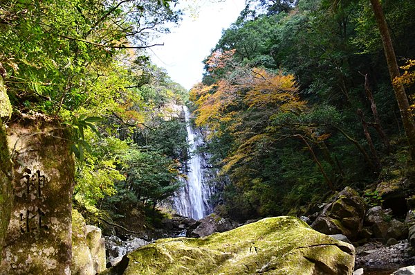 「尾鈴山瀑布群」を代表する「矢研の滝」