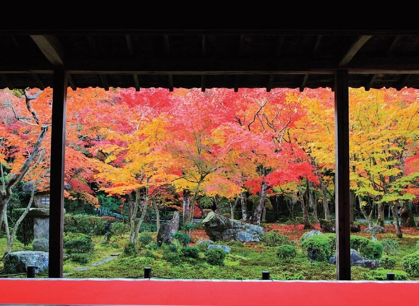 圓光寺/十牛之庭を書院から眺めると、軒の柱が額縁になり、鮮やかな紅葉がいっそう際立つ。宝物殿の窓もおすすめだ