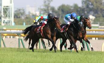 コロナ禍でも競馬が人気! 「日本ダービー」から始める初心者向けガイド